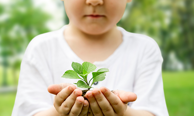 孩子雙手捧著一株幼苗